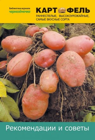 Обложка к Картофель. Рекомендации и советы (2012) RTF,FB2,EPUB,MOBI,DOCX