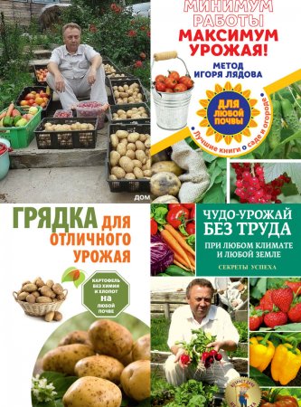 Обложка к Чудо огород Игоря Лядова. Сборник книг