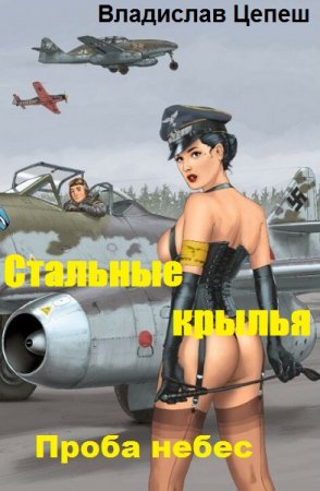 Обложка к Владислав Цепеш. Стальные крылья. Проба небес (2019)