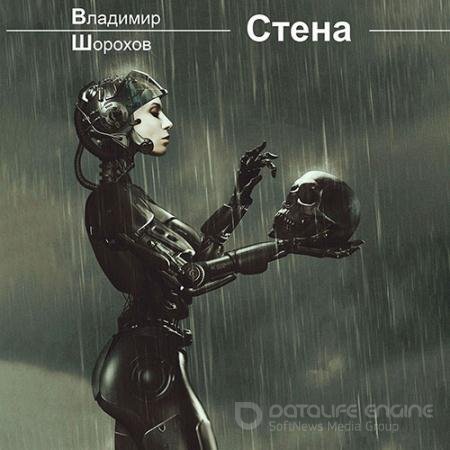 Обложка к Аудиокнига - Стена (2022) Шорохов Владимир